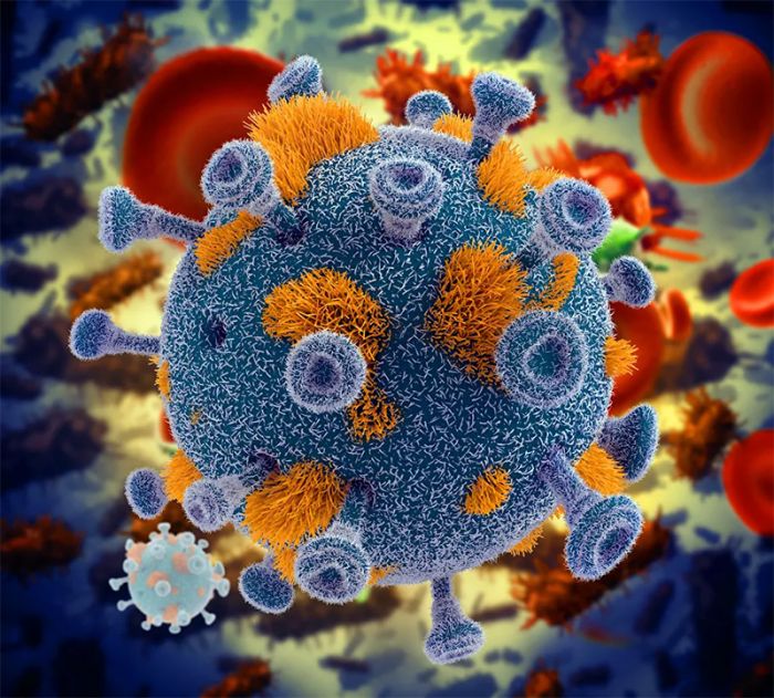 Ученые обнаружили ген, блокирующий смертельные вирусы