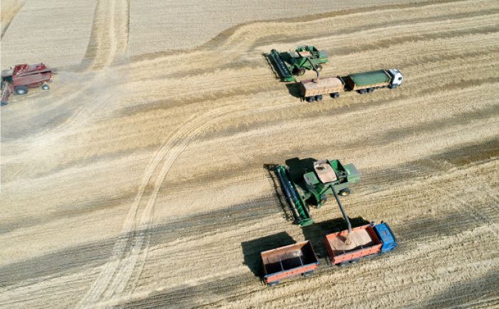 Минсельхоз РФ объяснил предложение про передачу земли узбекским фермерам 