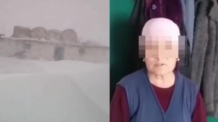 Аким записал извинения женщины за видео о снеге в Павлодарской области 