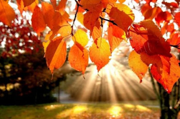 Тепло вернется в Казахстан на выходных