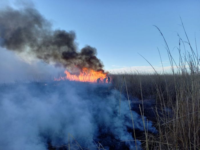 Пожар на побережье Каспия: работы по тушению продолжаются 