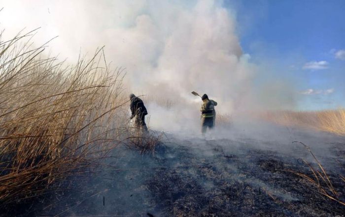 Горевший на Каспии камыш тушили 10 дней
