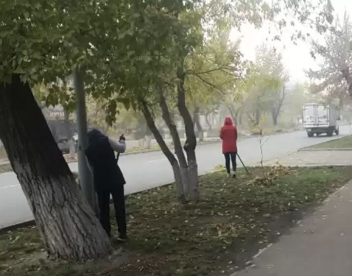 В Семее акимат отправил учителей подметать улицы