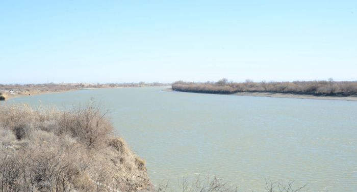 Видео с пересохшей рекой Сырдарья появилось в Сети 