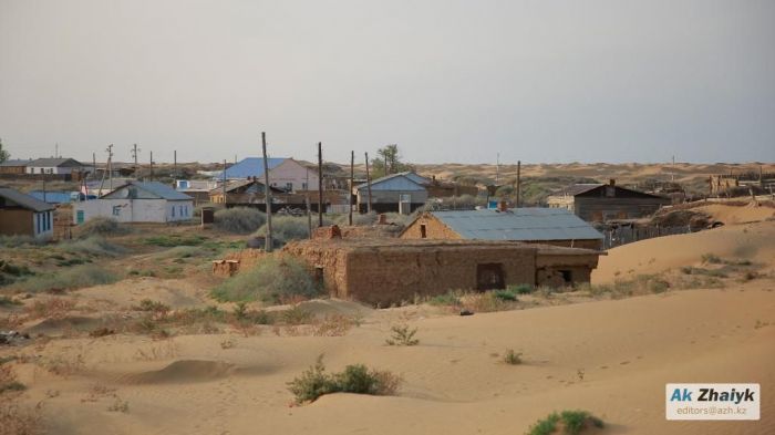 На родной саксаул уповаем