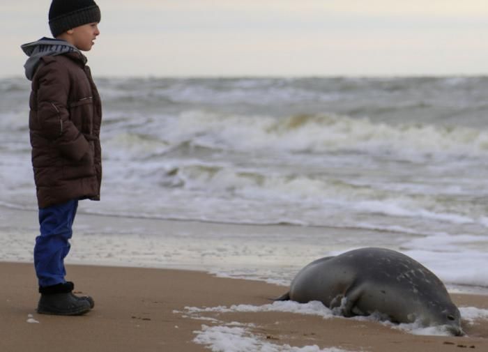 Токаев подписал закон о защите Каспия