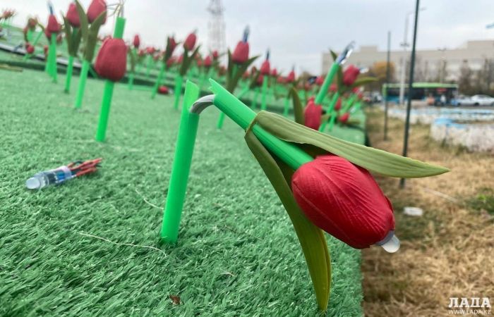 Аким Актау о пластиковых тюльпанах: мне показали другой эскиз 