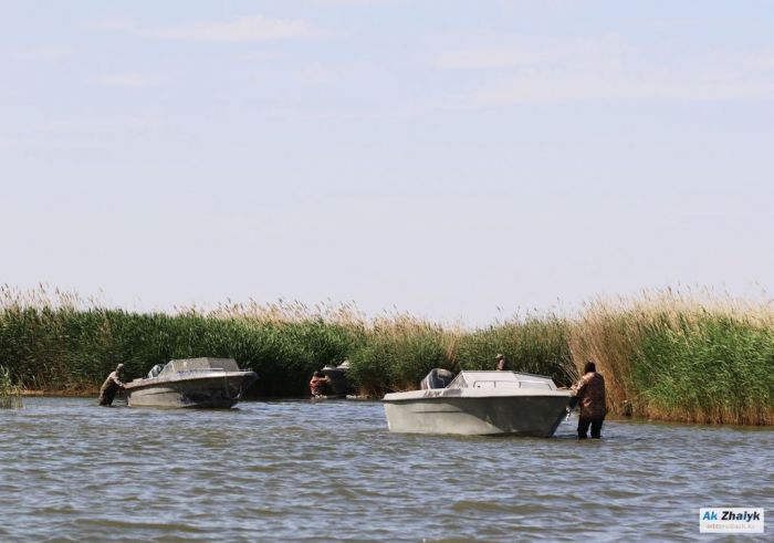 Рыбинспекторы молча выслушали приговор коллеге