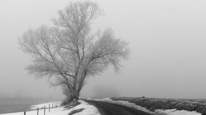 Метель и туман – в шести областях Казахстана объявлено штормовое предупреждение