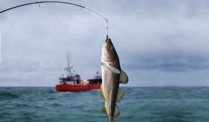 В северной части Каспийского моря введён запрет на ловлю рыбы 
