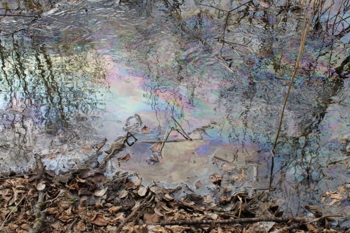 Волгу в районе Астрахани покрыла радужная пленка