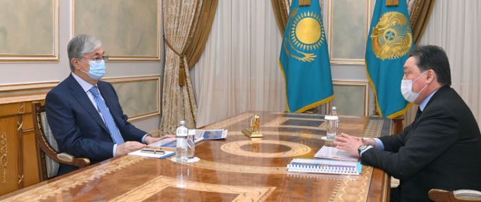 Токаев принял Мамина 