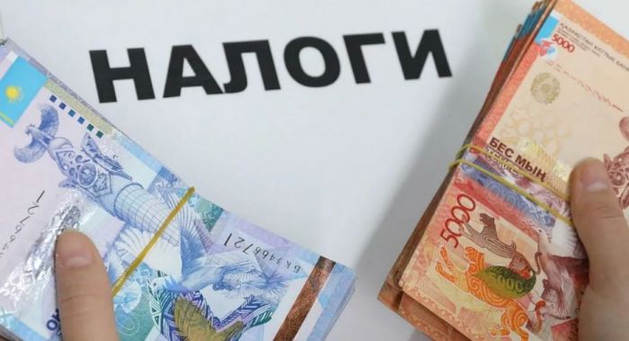 "На руках данные спецорганов". Токаев поручил премьеру разобраться с уклоняющимися от налогов 