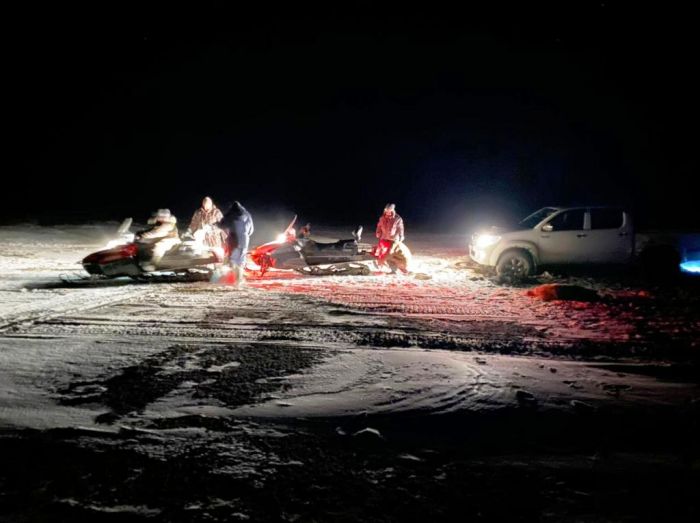 В жылыойской степи волки порезали стадо овец