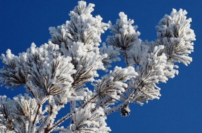 Морозы до минус 30 ожидаются в Казахстане 