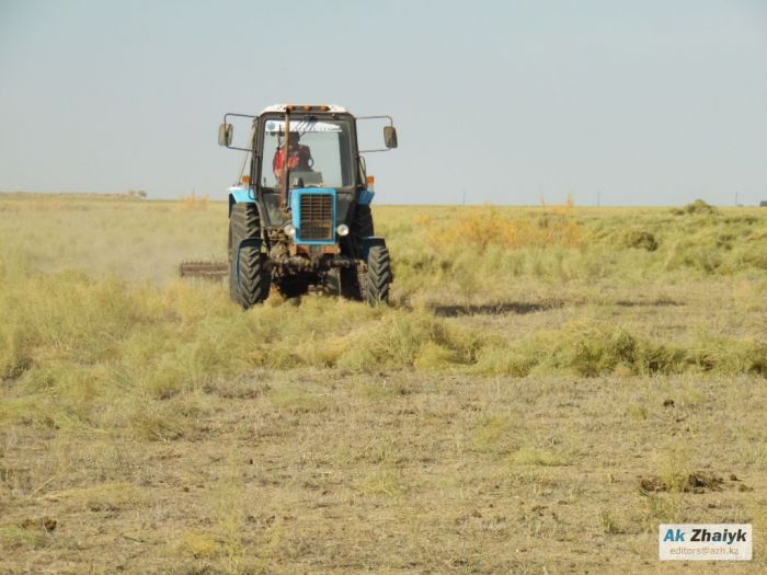 Неиспользуемые сельхозземли передадут действующим крестьянским хозяйствам 