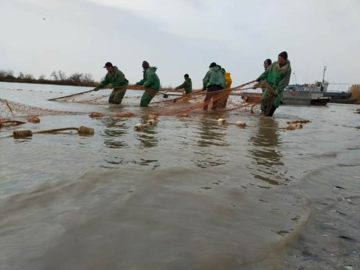 О чём говорят рыбаки и рыбоводы