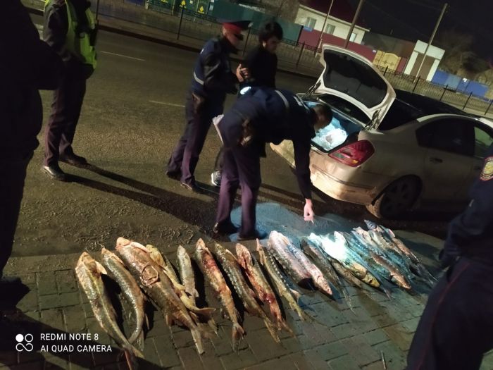 ​Полиция обыскивает багажники и находит запретную рыбу