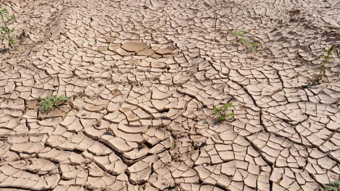 ​Казгидромет уточнил прогноз по засухе на май по регионам