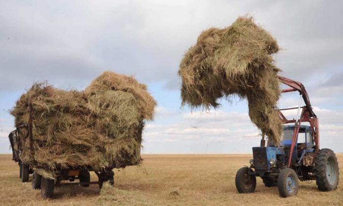 Земли вроде много, но… мало 