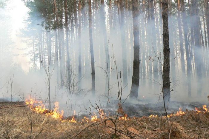 Токаев посетит Костанайскую область, несмотря на пожары​ 