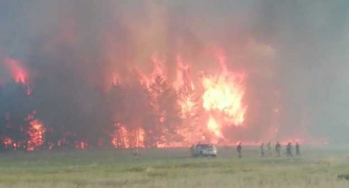 Пожары в Костанайской области: задержан руководитель лесного хозяйства