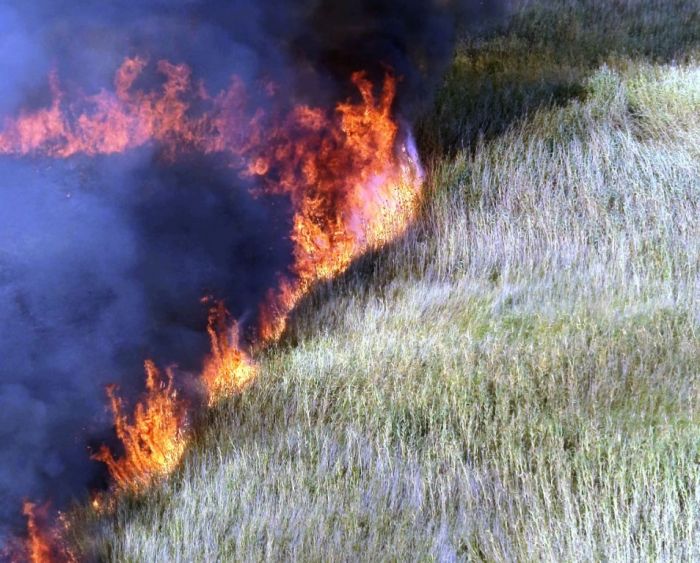 Степной пожар на Каспийском побережье не коснулся резервата “Акжайык”