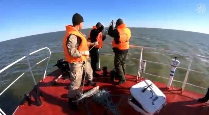 Пограничники ловили браконьеров и спасали осетровых в Каспийском море