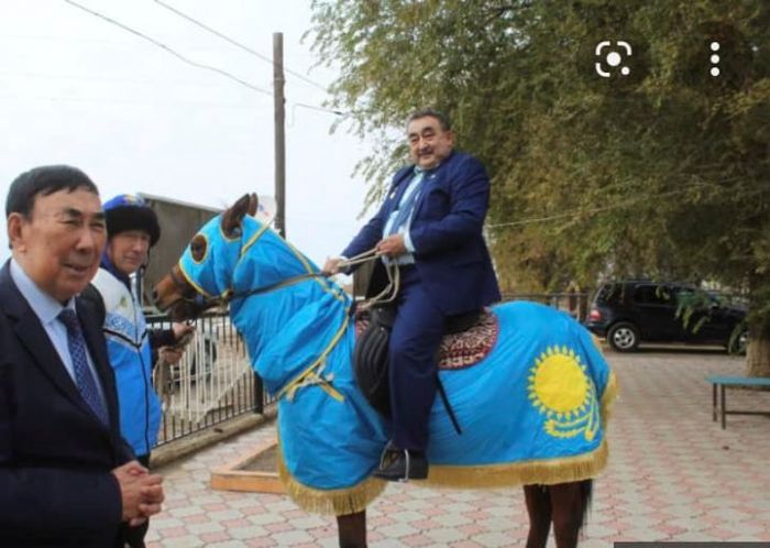 Лошадь с «элементами государственного флага»: из-за чего поднялся шум в соцсетях 