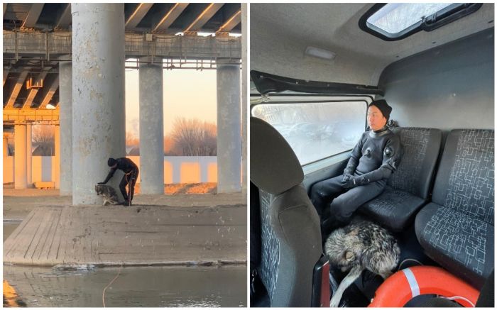 В Атырау сотрудники ДЧС спасли утопающую собаку 
