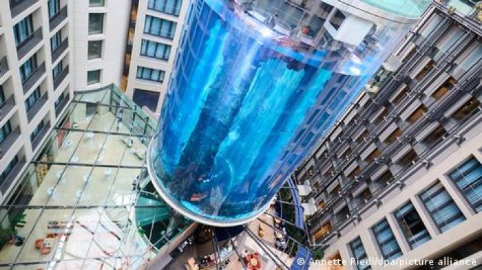 В центре Берлина лопнул гигантский аквариум 