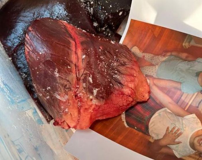 Редакция Ulysmedia.kz сообщила о получении от неизвестных коробки с мясом и семейным фото главного редактора 