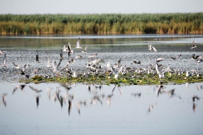 Туристам есть на что у нас подивиться и восхититься 