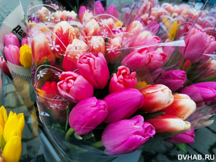 Сколько завезли цветов в Казахстан к 8 марта