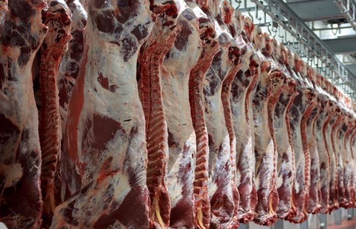 Казахстан временно запретил ввоз говядины из Бразилии