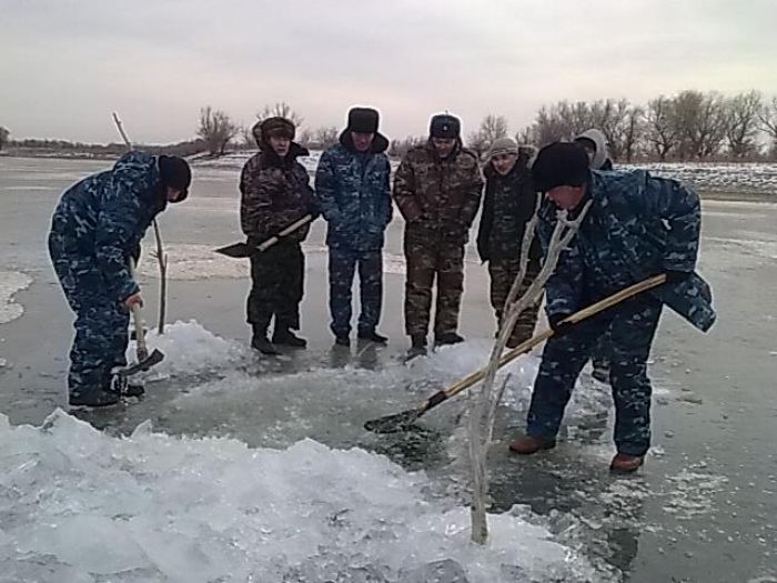 Сельские новости