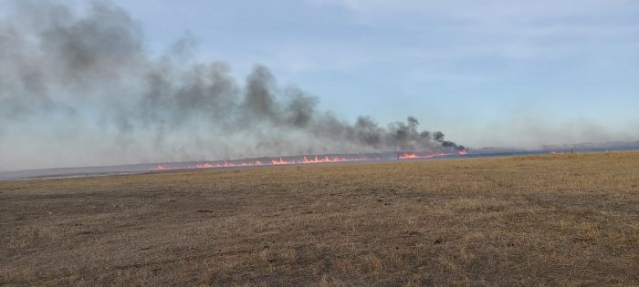Камыш горел совсем рядом с городом
