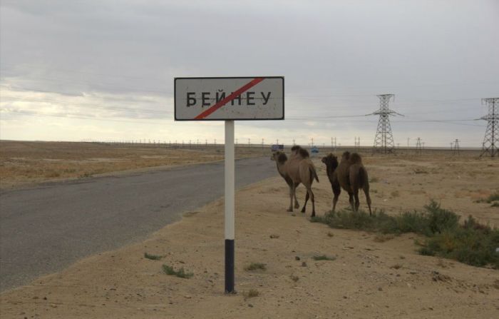 Район в Мангистау хотят признать зоной экологического бедствия