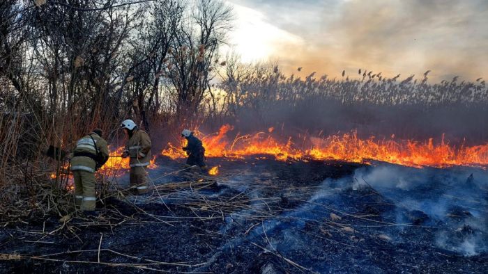 В Атырауской области ликвидировано возгорание камыша