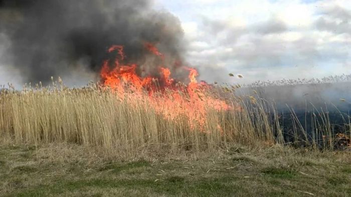 Опять на берегу горит камыш