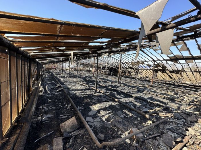 Горел камыш, деревья гнулись: от пожара пострадали дворы села Курсай