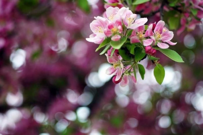 Как отдохнут казахстанцы в мае