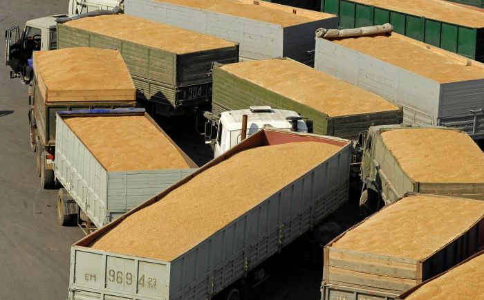 Запрет на ввоз зерна автотранспортом в Казахстан позволит остановить серый экспорт – Минсельхоз