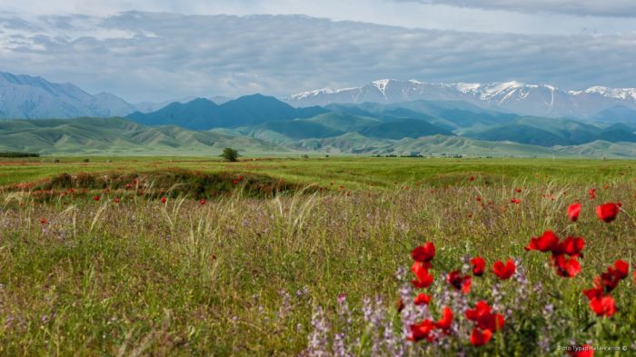 Принадлежавшие Алие Назарбаевой и Кайрату Сатыбалды земли вернули в госсобственность
