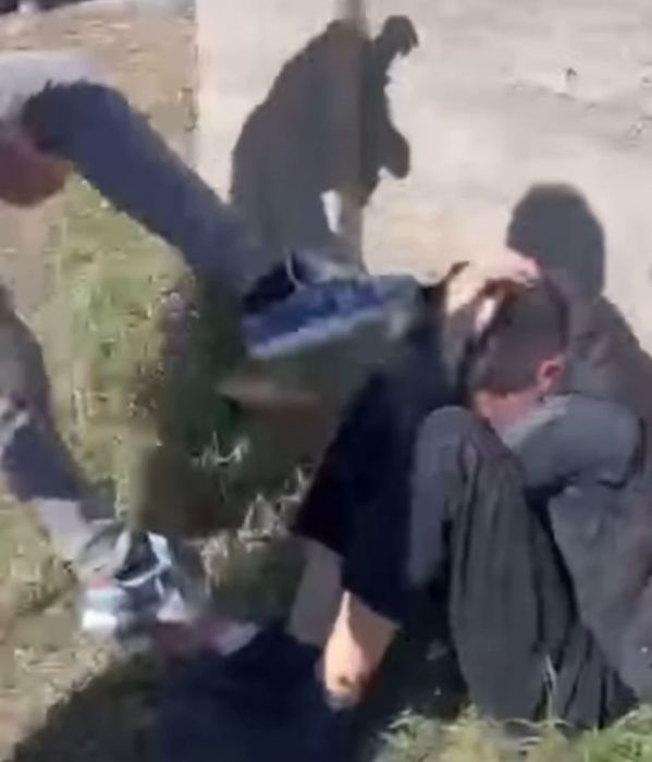 Почему они такие жестокие?