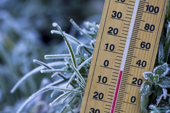 Останемся без урожая?