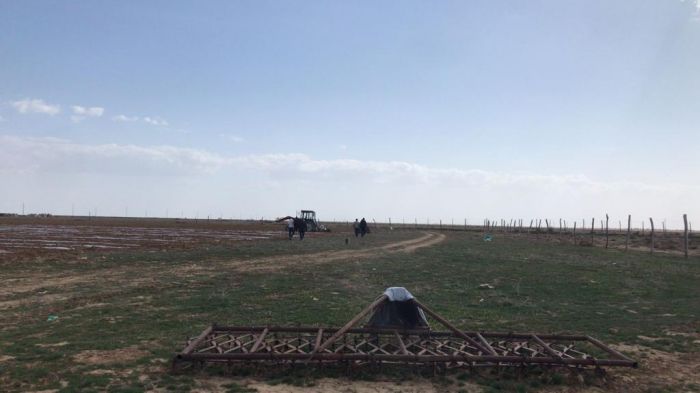 В нашей степи работают граждане Узбекистана – пора это признать