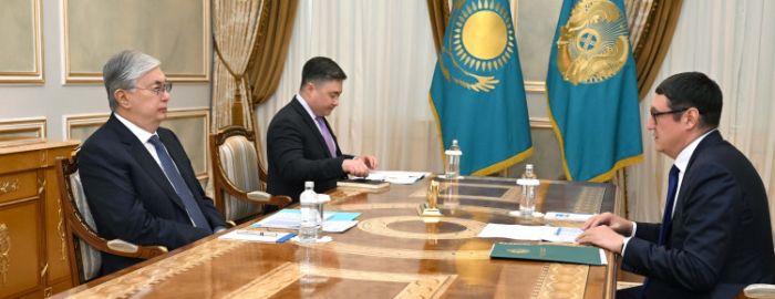 Токаеву доложили о мерах по насыщению рынка газом​