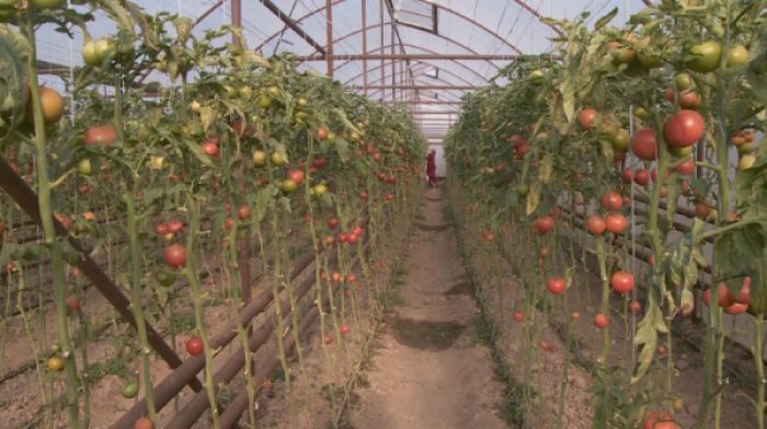 «Главный способ борьбы с ростом цен – больше выращивать своего»