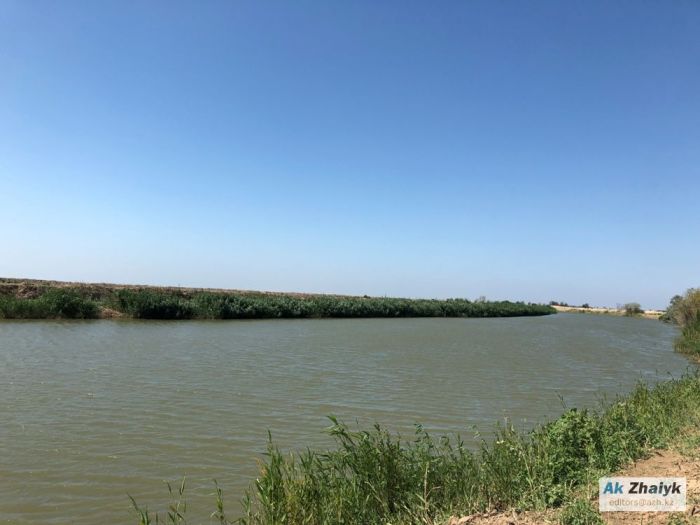 Некому защищать водные ресурсы 